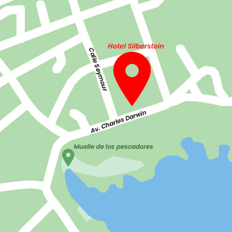 Mapa del Hotel Silberstein